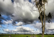 pg模拟器：格纳布里：在主场赢得欧冠是我们的梦想，慕尼黑已成第二故乡.