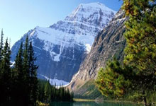 椰风剪影 ｜ 闭幕了，把体育盛会精彩瞬间剪给你新华社.