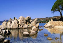 [国际足球]斯图加特晋级德国足协杯四强.